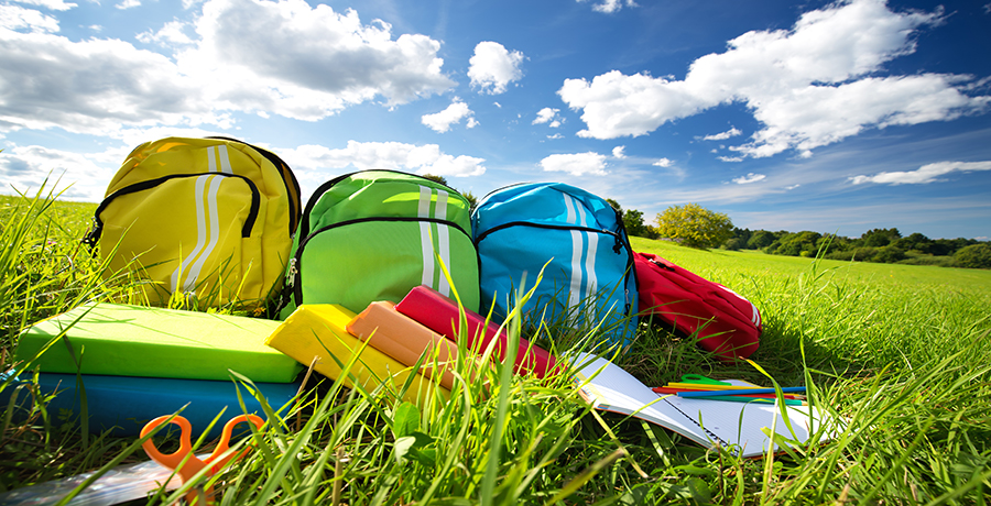 school supplies in a summer field