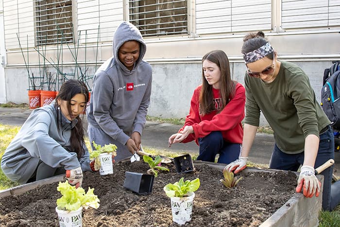 A group of students working in a garden.