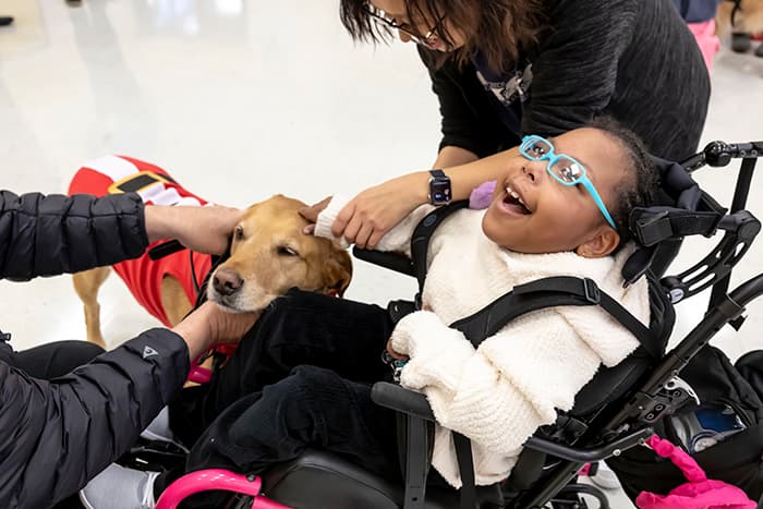 A Cedar Lane student in a wheelchair smiles while petting a therapy dog.