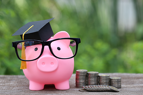 Graduation hat on pink piggy bank with stack of coins money on nature green background
